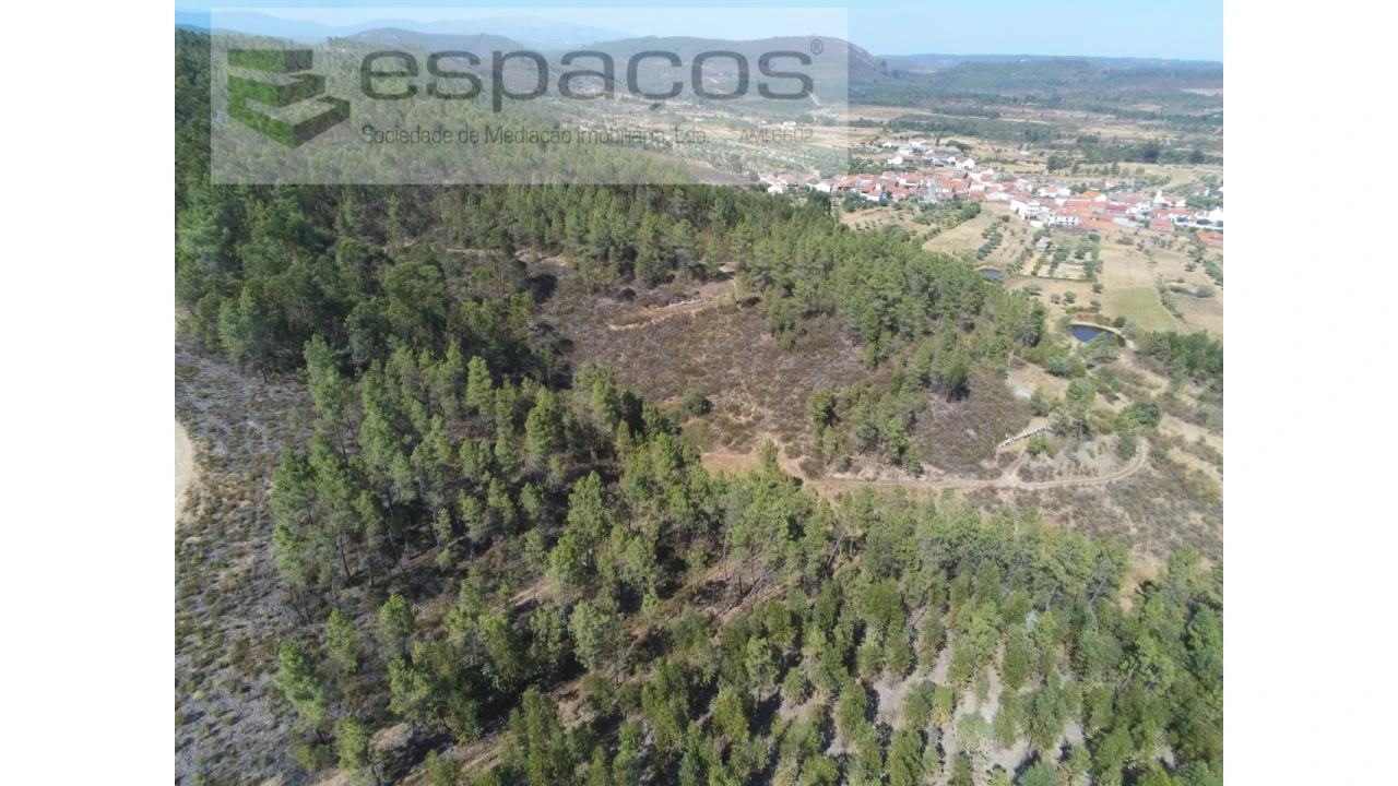 Quinta para Venda em Freixial e Juncal do Campo Foto 8