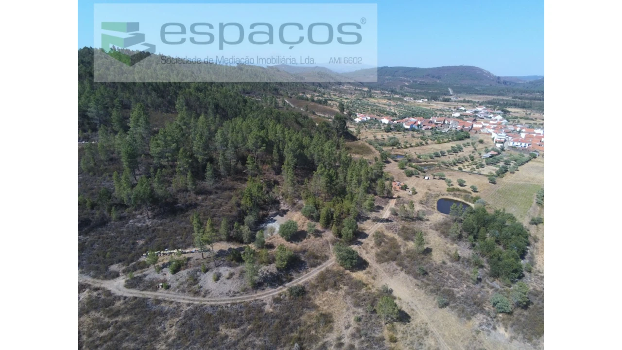 Quinta para Venda em Freixial e Juncal do Campo Foto 9