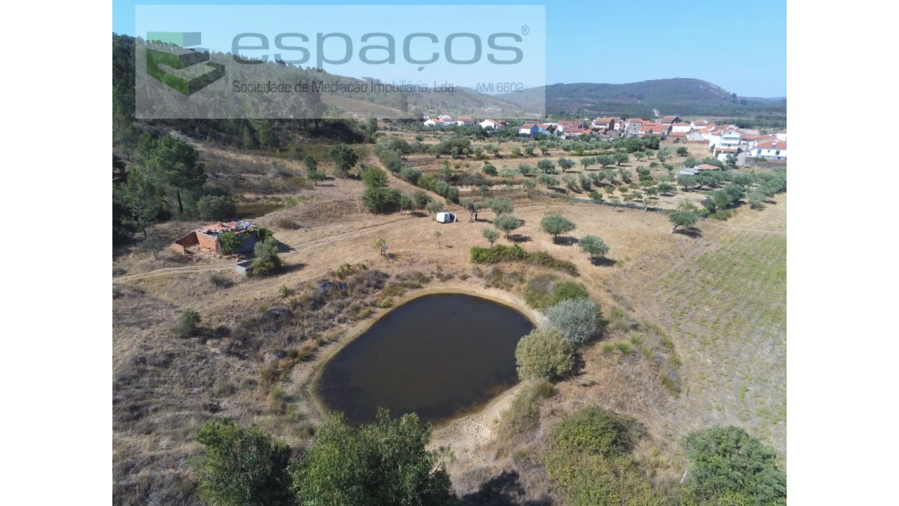 Quinta para Venda em Freixial e Juncal do Campo Foto 10