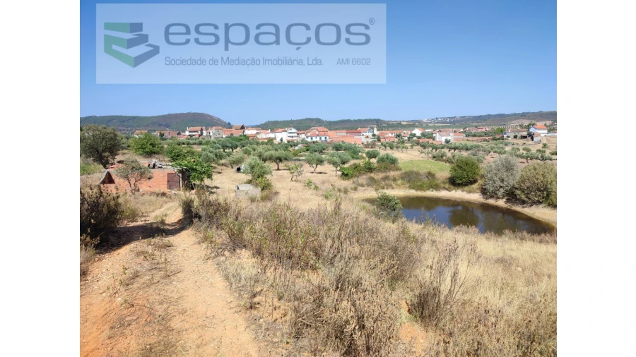 Quinta para Venda em Freixial e Juncal do Campo Foto 2