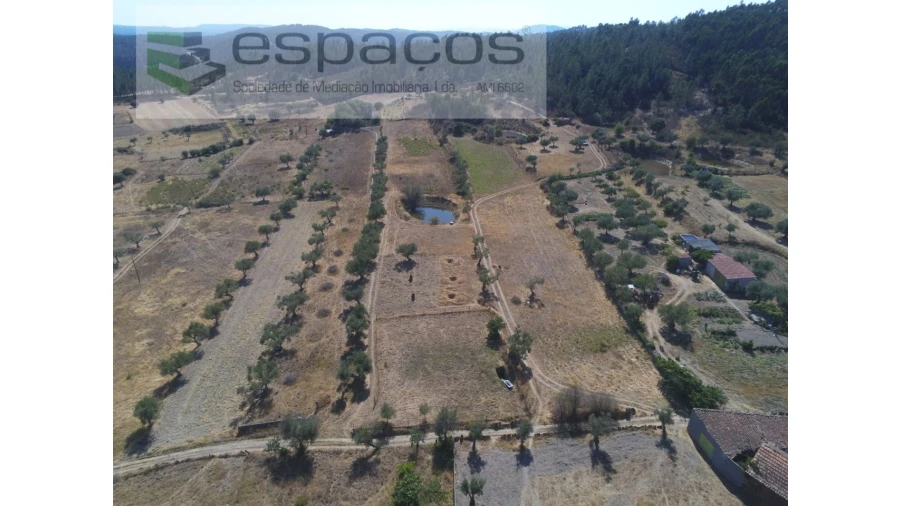 Quinta para Venda em Freixial e Juncal do Campo Foto 3
