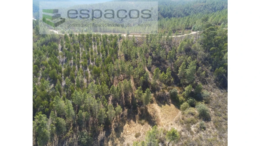 Quinta para Venda em Freixial e Juncal do Campo Foto 6