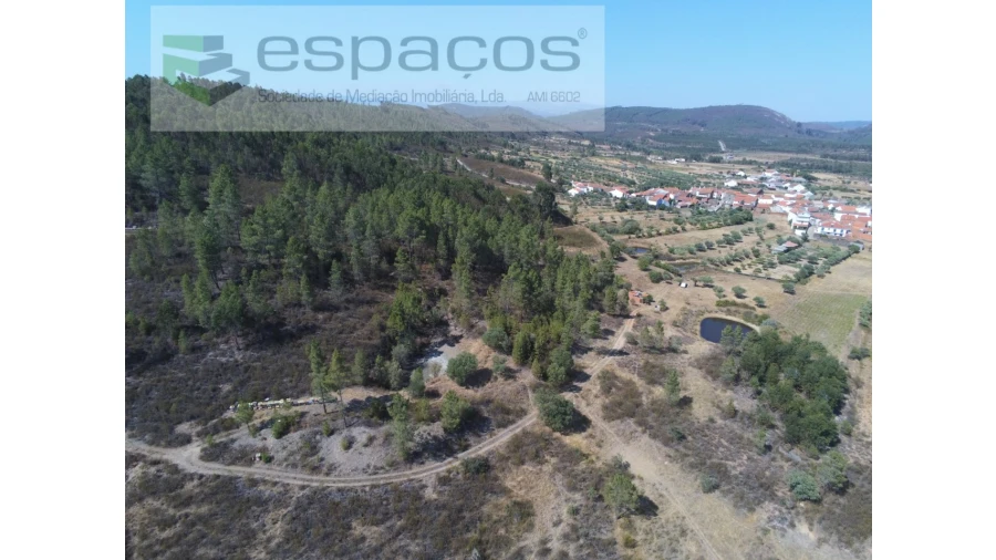 Quinta para Venda em Freixial e Juncal do Campo Foto 9