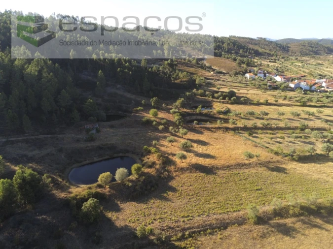 Quinta para Venda em Freixial e Juncal do Campo Foto 1