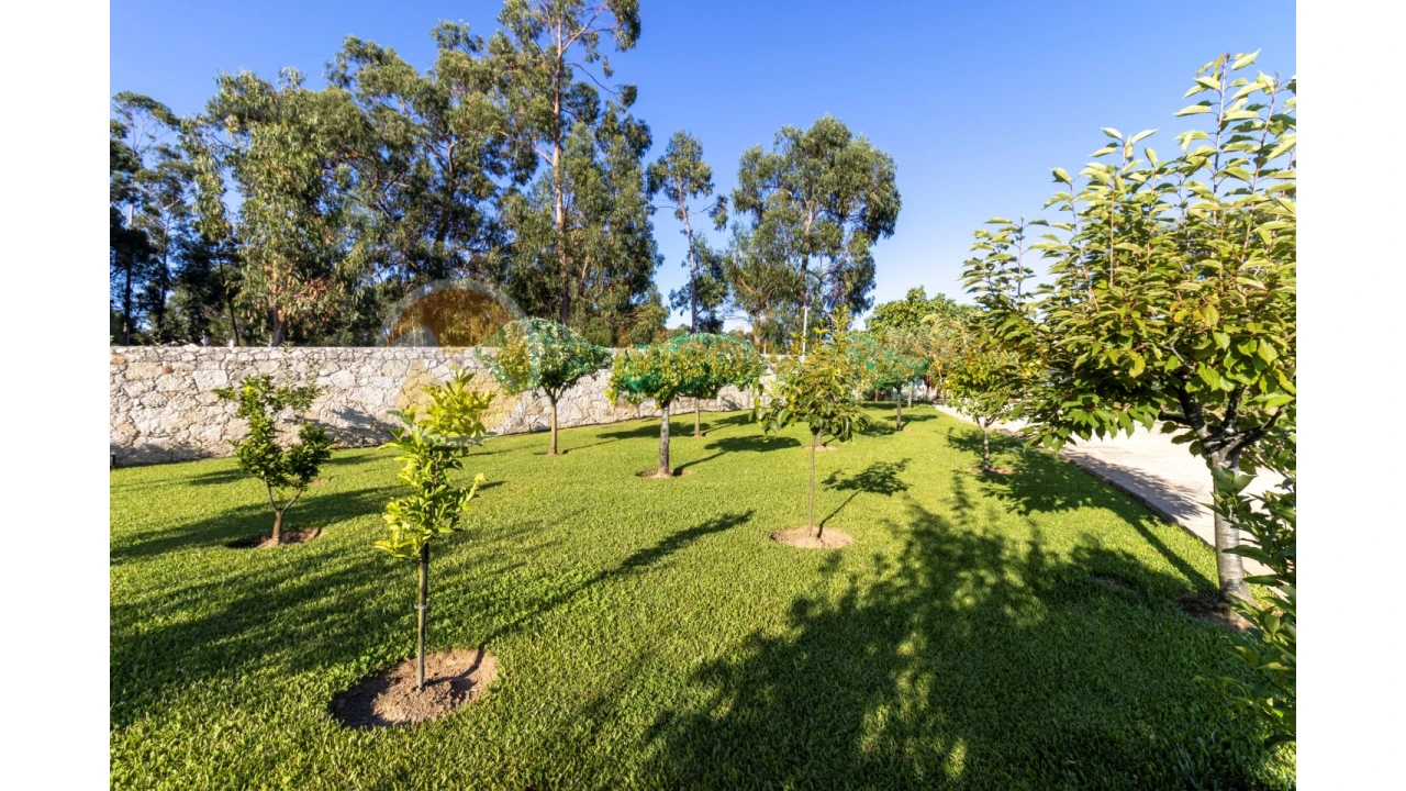 Moradia T5 para Venda em Seara Foto 28