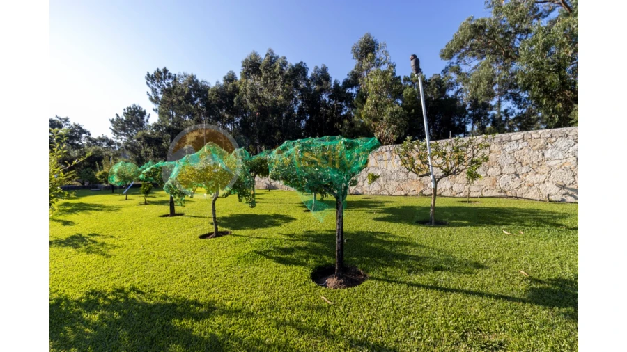 Moradia T5 para Venda em Seara Foto 26