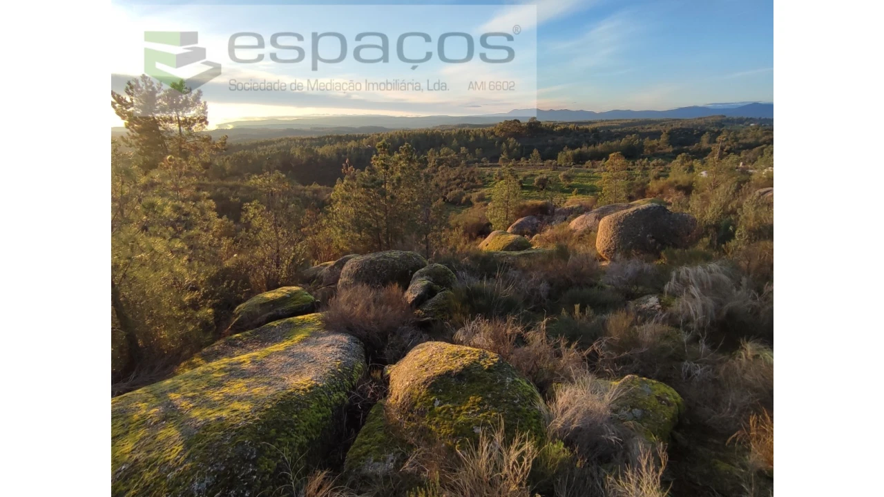 Terreno Agricola ou Rústico para Venda em Salgueiro do Campo Foto 2