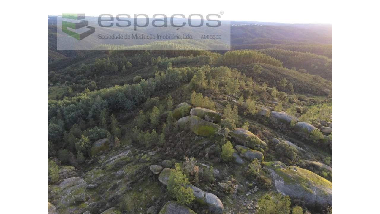 Terreno Agricola ou Rústico para Venda em Salgueiro do Campo Foto 8