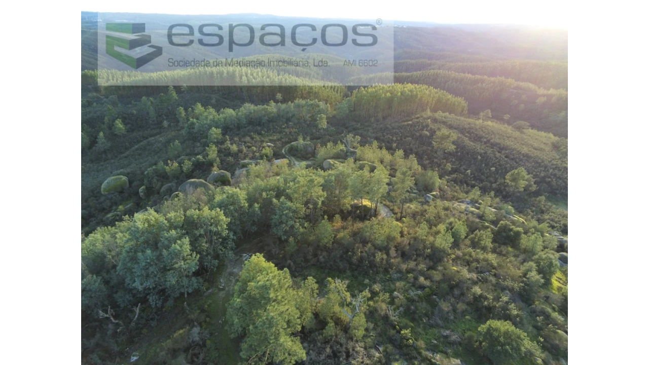 Terreno Agricola ou Rústico para Venda em Salgueiro do Campo Foto 9