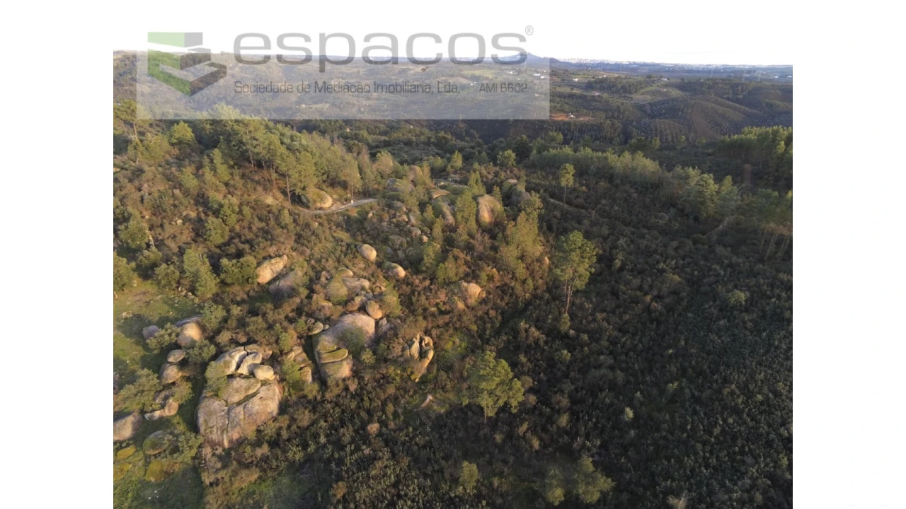 Terreno Agricola ou Rústico para Venda em Salgueiro do Campo Foto 11