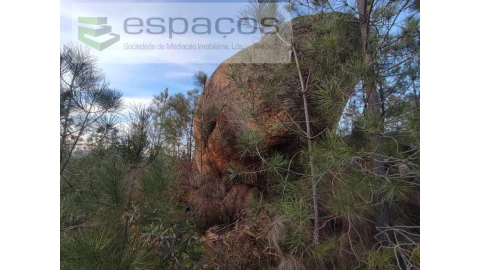 Terreno Agricola ou Rústico para Venda em Salgueiro do Campo