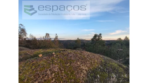 Terreno Agricola ou Rústico para Venda em Salgueiro do Campo