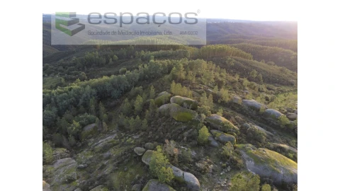 Terreno Agricola ou Rústico para Venda em Salgueiro do Campo