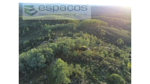 Terreno Agricola ou Rústico para Venda em Salgueiro do Campo