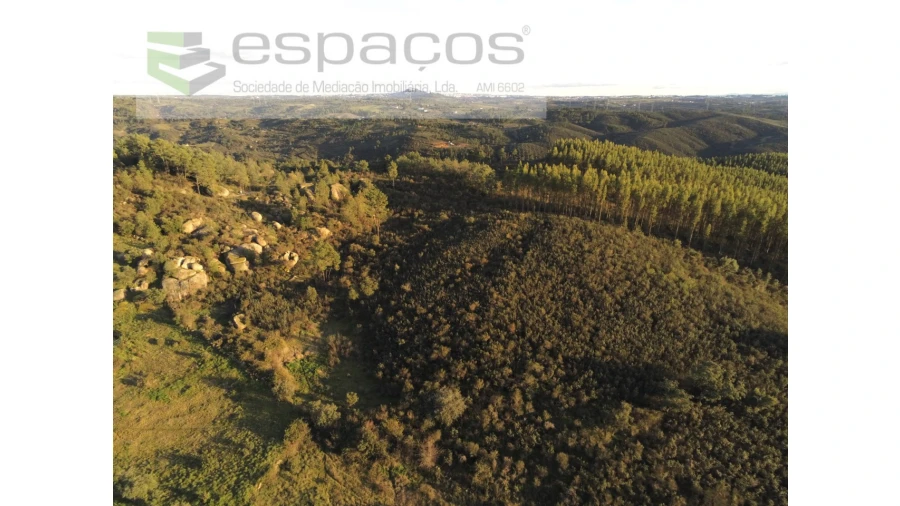 Terreno Agricola ou Rústico para Venda em Salgueiro do Campo