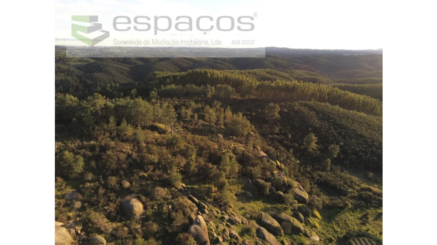 Terreno Agricola ou Rústico para Venda em Salgueiro do Campo Foto 7