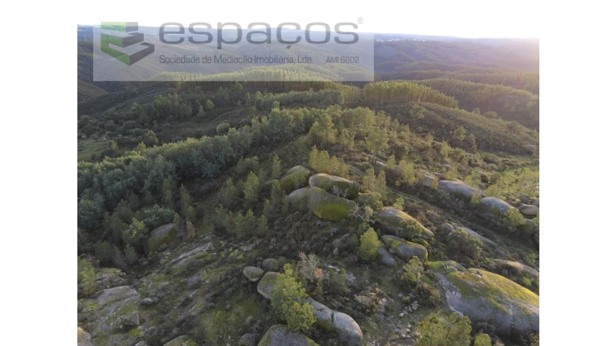 Terreno Agricola ou Rústico para Venda em Salgueiro do Campo Foto 8