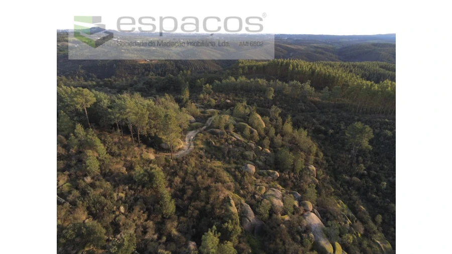Terreno Agricola ou Rústico para Venda em Salgueiro do Campo Foto 10