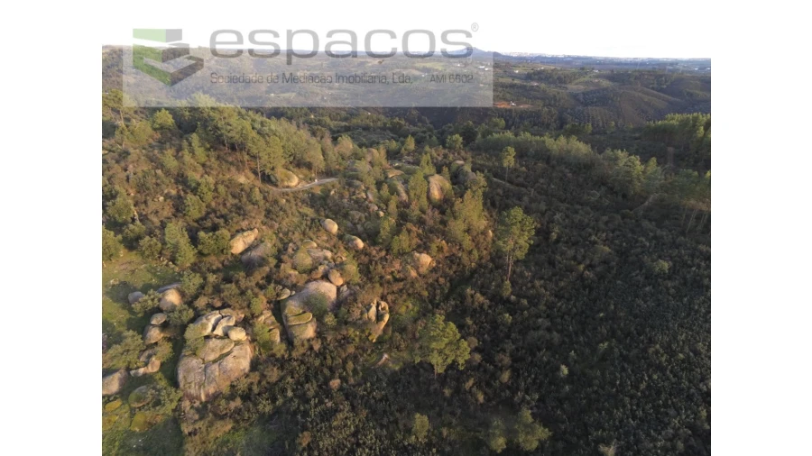 Terreno Agricola ou Rústico para Venda em Salgueiro do Campo Foto 11