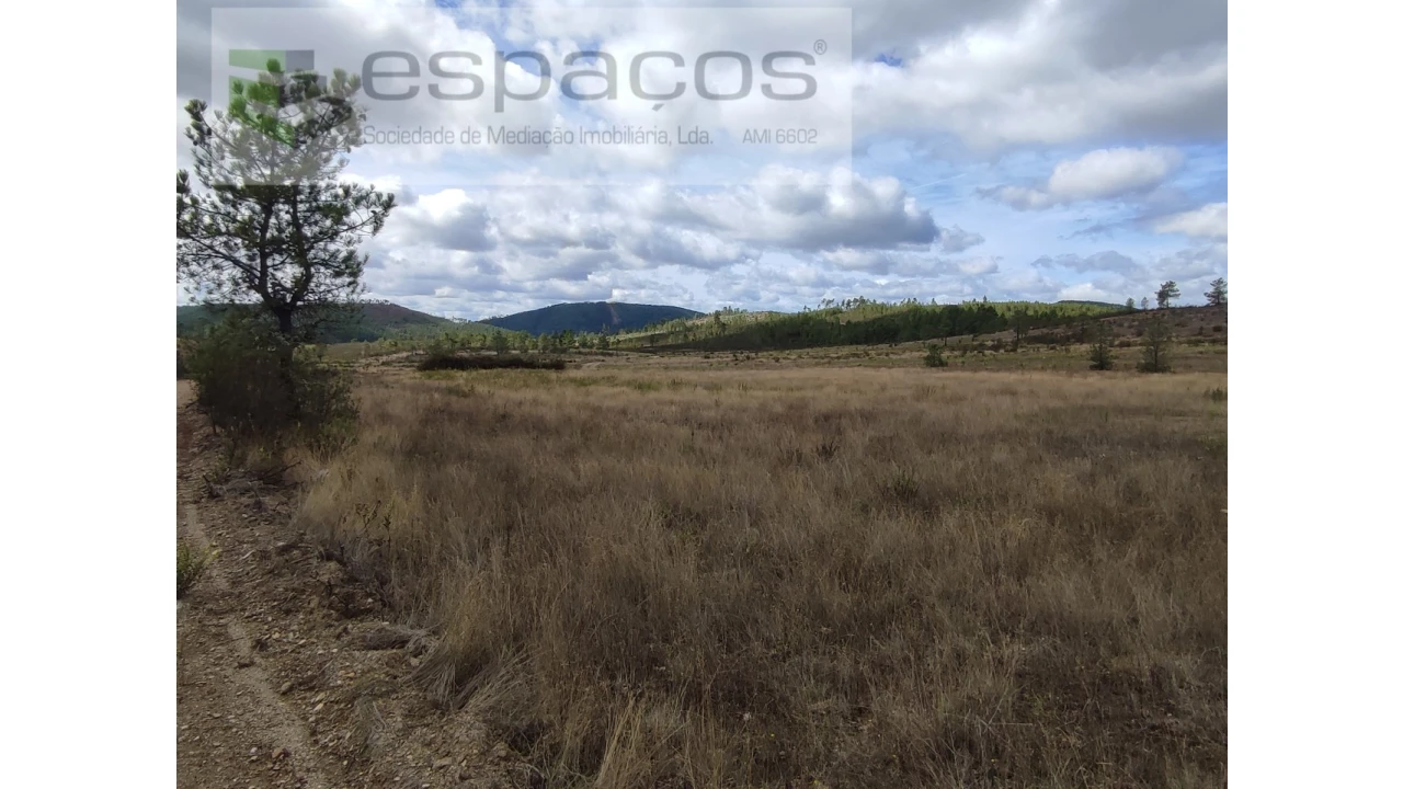 Terreno Agricola ou Rústico para Venda em Ninho do Açor e Sobral do Campo Foto 1