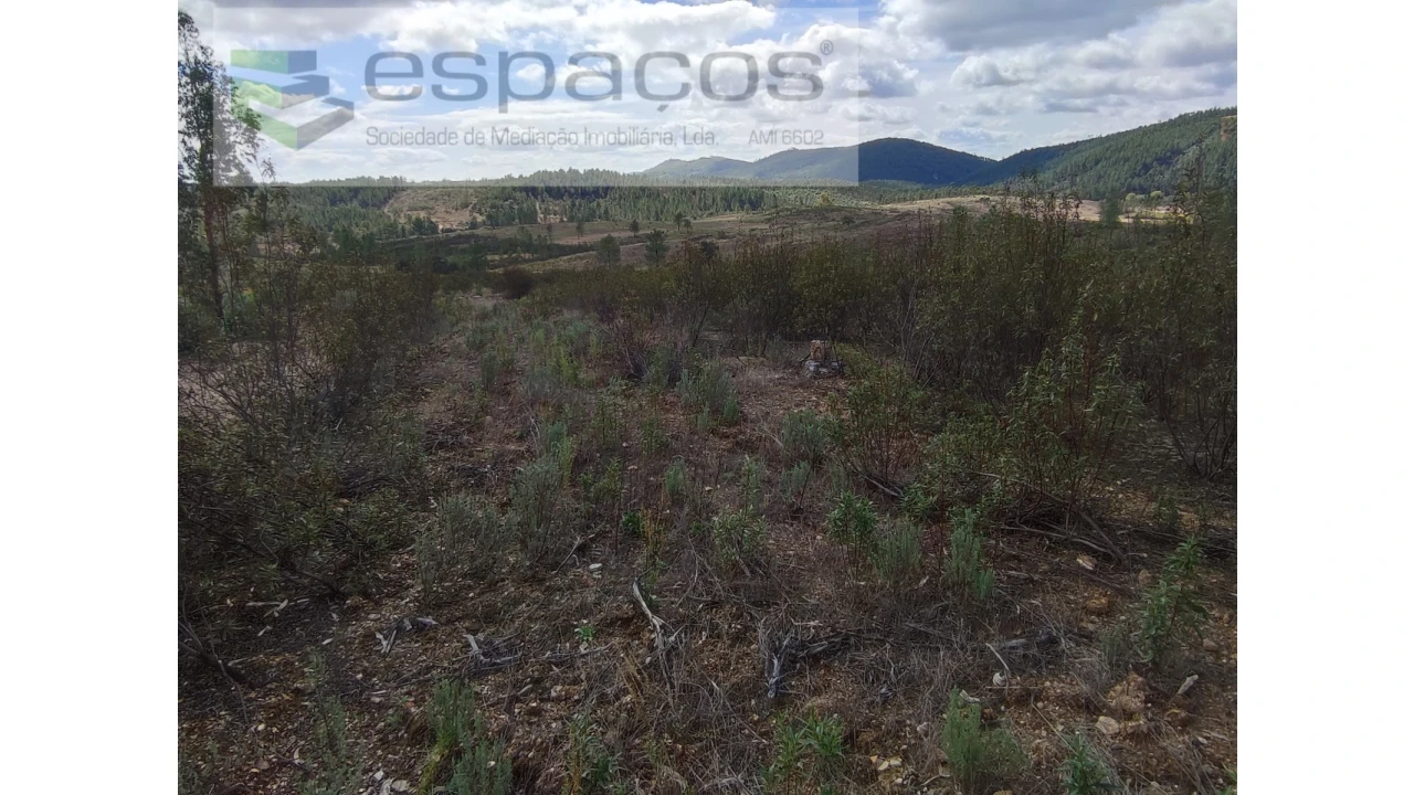 Terreno Agricola ou Rústico para Venda em Ninho do Açor e Sobral do Campo Foto 3