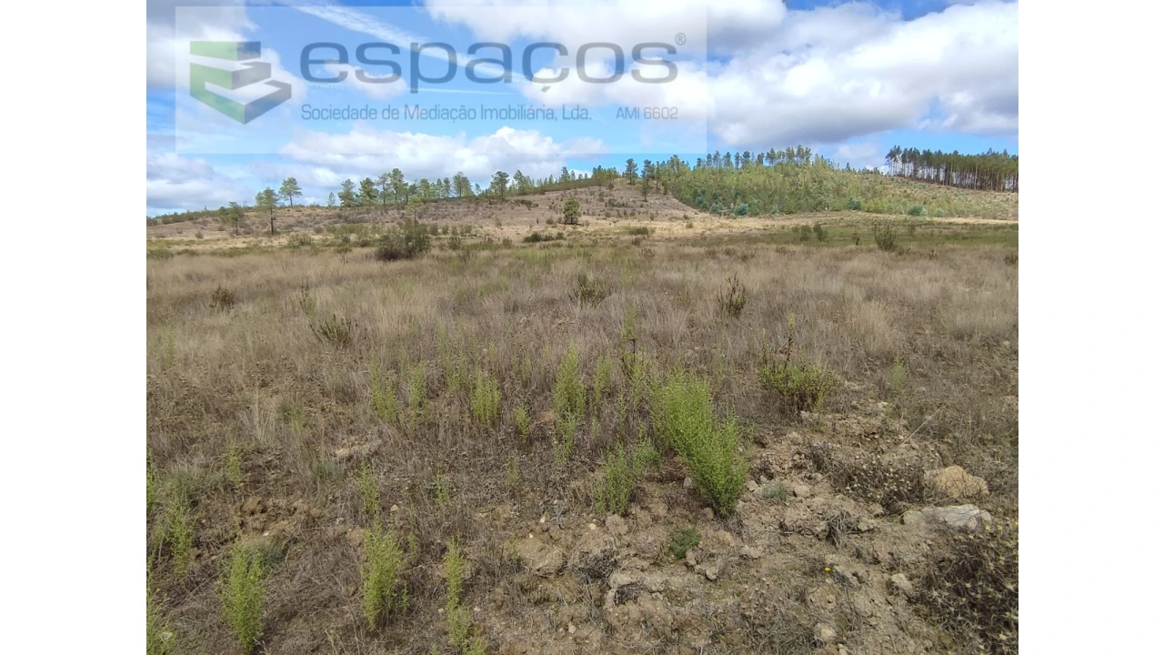 Terreno Agricola ou Rústico para Venda em Ninho do Açor e Sobral do Campo Foto 5