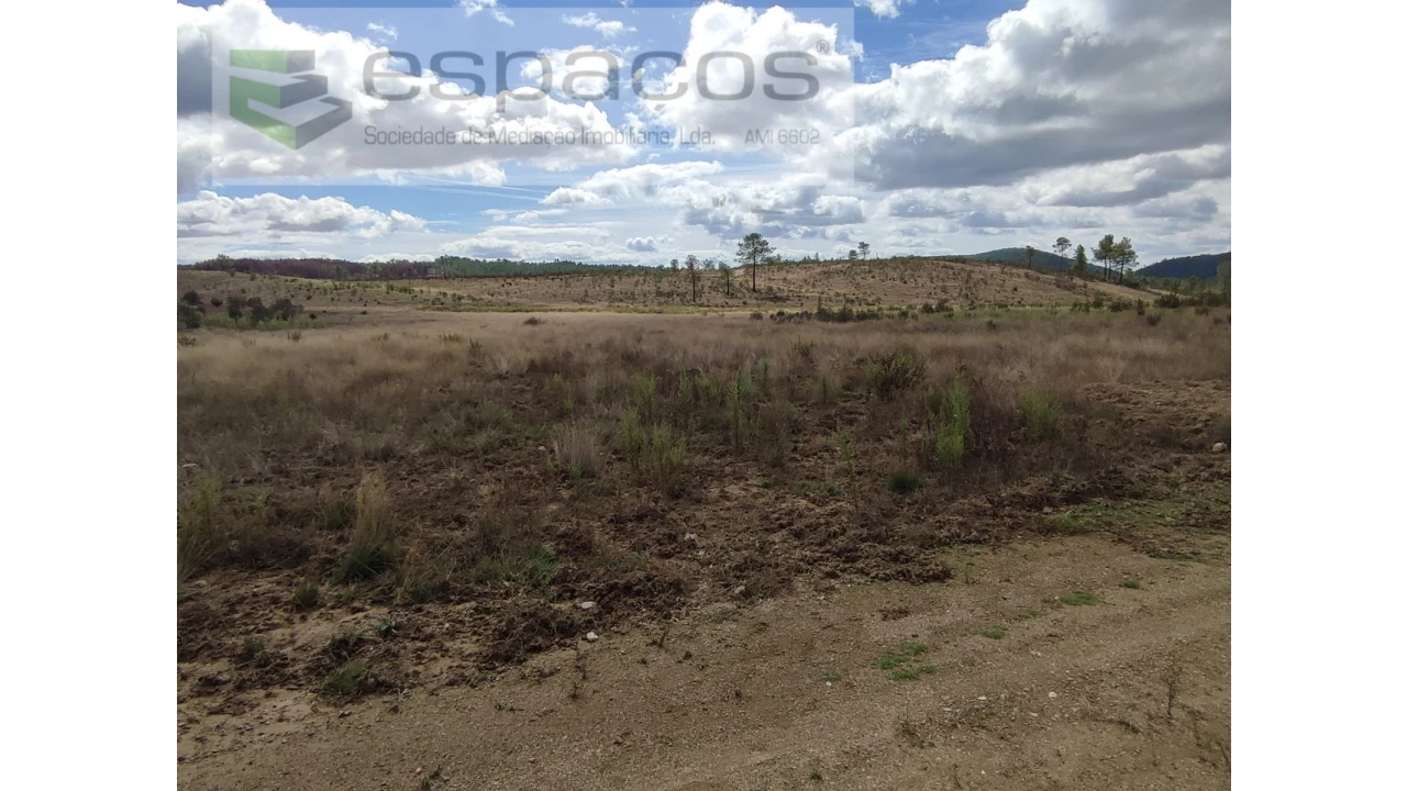 Terreno Agricola ou Rústico para Venda em Ninho do Açor e Sobral do Campo Foto 7