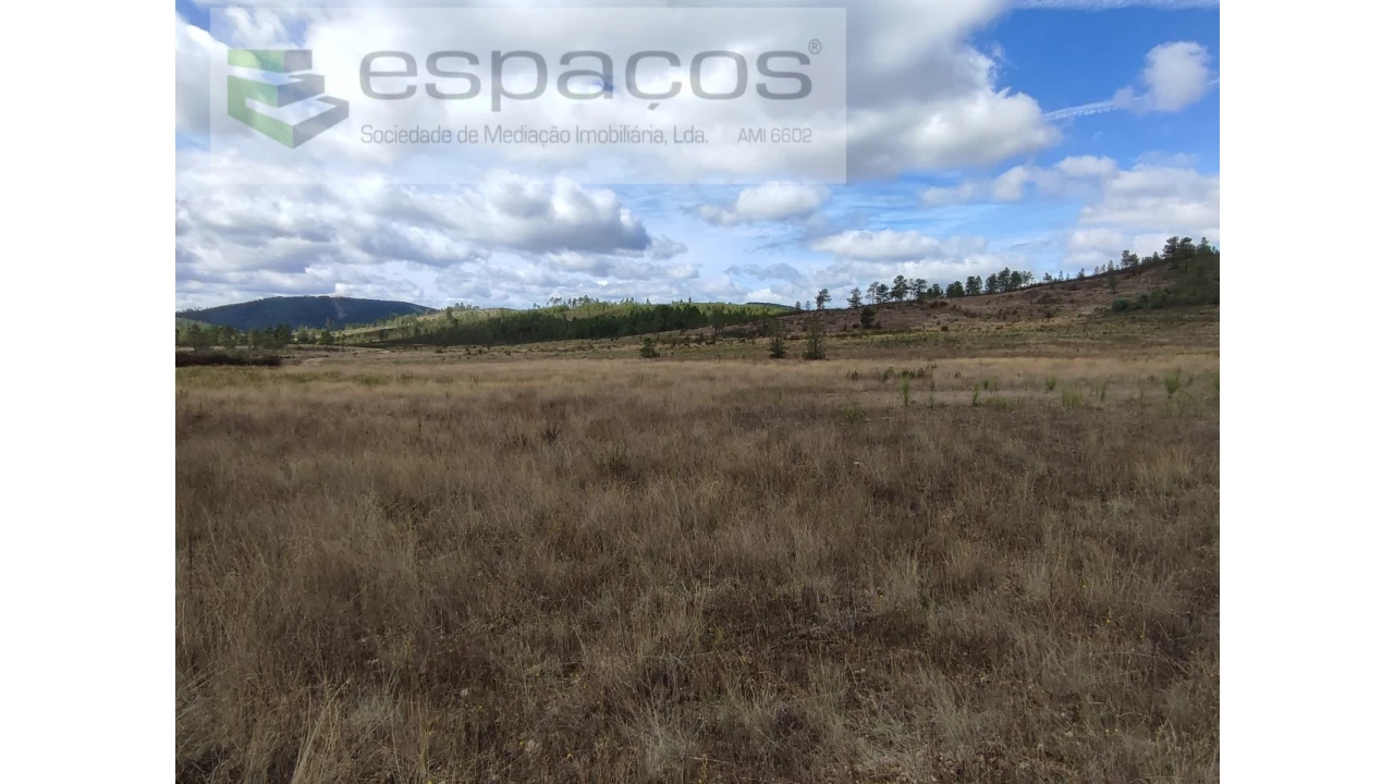 Terreno Agricola ou Rústico para Venda em Ninho do Açor e Sobral do Campo Foto 8