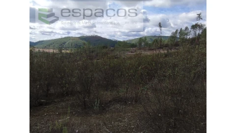 Terreno Agricola ou Rústico para Venda em Ninho do Açor e Sobral do Campo