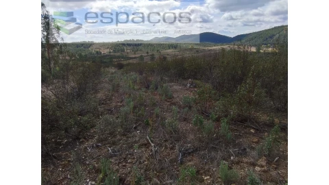 Terreno Agricola ou Rústico para Venda em Ninho do Açor e Sobral do Campo