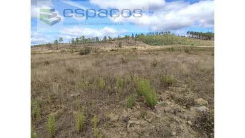 Terreno Agricola ou Rústico para Venda em Ninho do Açor e Sobral do Campo