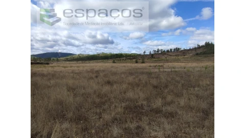 Terreno Agricola ou Rústico para Venda em Ninho do Açor e Sobral do Campo