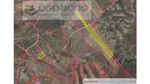 Terreno Agricola ou Rústico para Venda em Ninho do Açor e Sobral do Campo