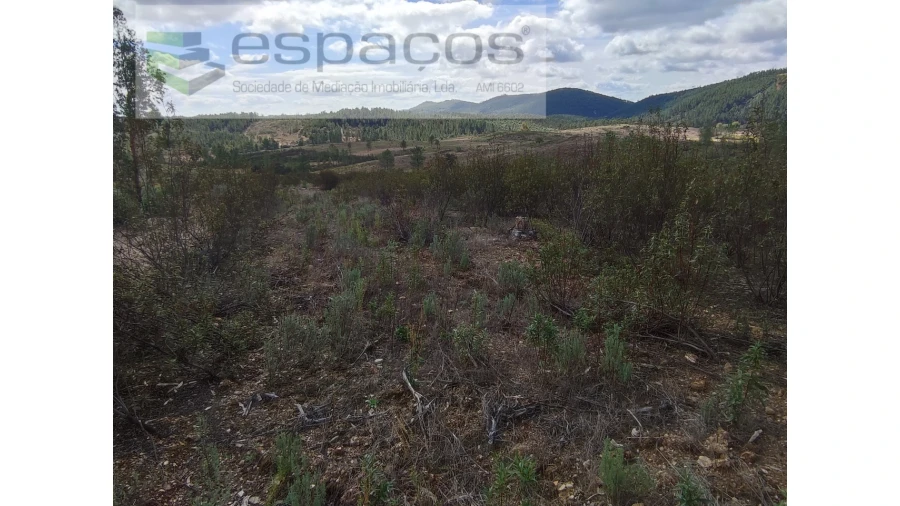 Terreno Agricola ou Rústico para Venda em Ninho do Açor e Sobral do Campo Foto 3