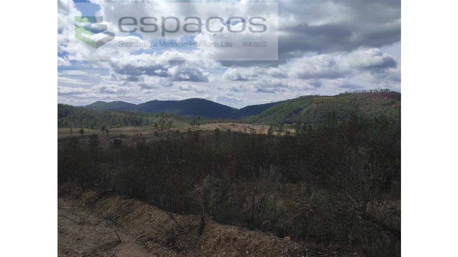 Terreno Agricola ou Rústico para Venda em Ninho do Açor e Sobral do Campo Foto 4