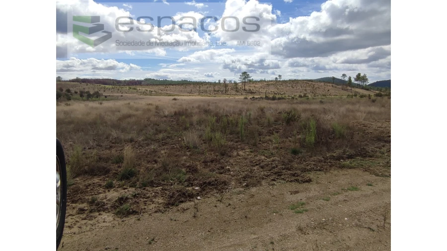 Terreno Agricola ou Rústico para Venda em Ninho do Açor e Sobral do Campo Foto 6