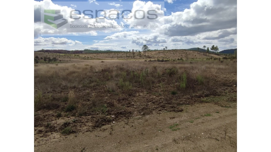 Terreno Agricola ou Rústico para Venda em Ninho do Açor e Sobral do Campo Foto 7