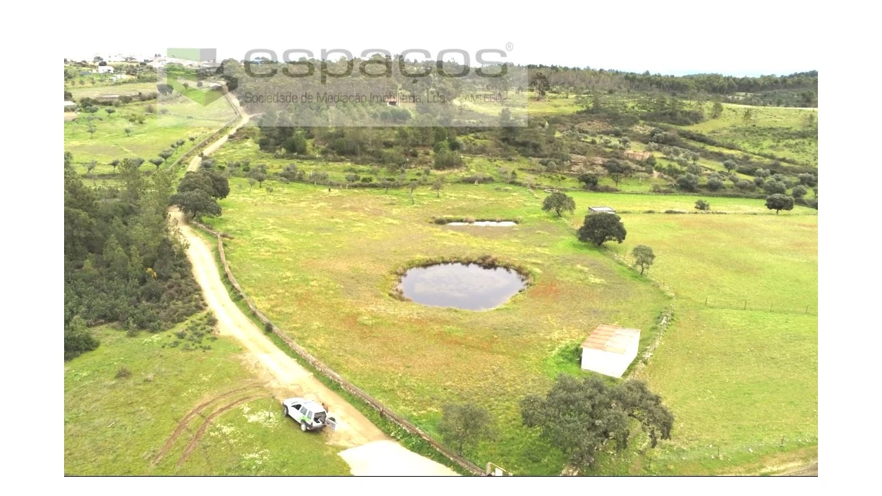Terreno Agricola ou Rústico para Venda em Sarnadas de Rodão Foto 4