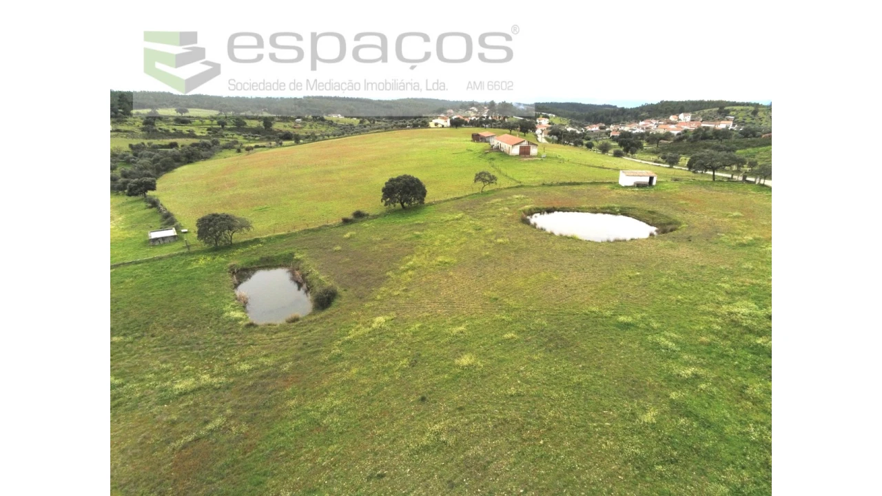 Terreno Agricola ou Rústico para Venda em Sarnadas de Rodão Foto 3