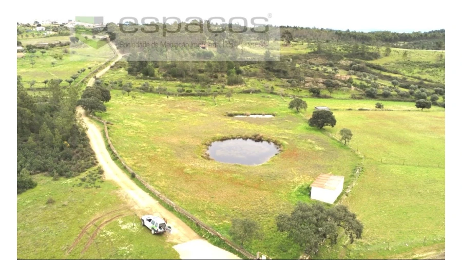 Terreno Agricola ou Rústico para Venda em Sarnadas de Rodão Foto 4