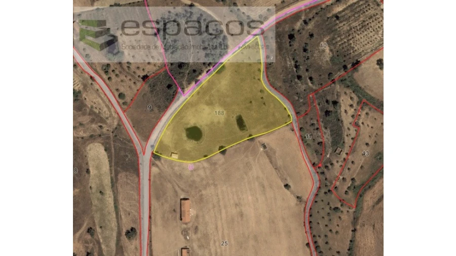 Terreno Agricola ou Rústico para Venda em Sarnadas de Rodão Foto 5