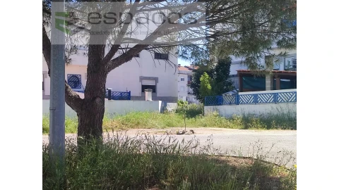 Terreno para Venda em Castelo Branco