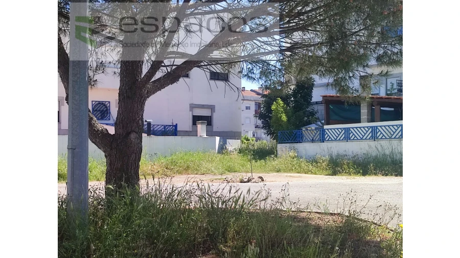 Terreno para Venda em Castelo Branco Foto 9