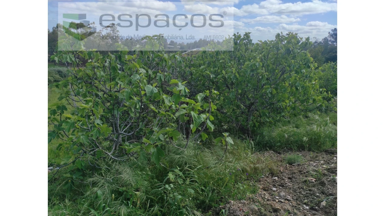 Quinta para Venda em Cebolais de Cima e Retaxo Foto 7
