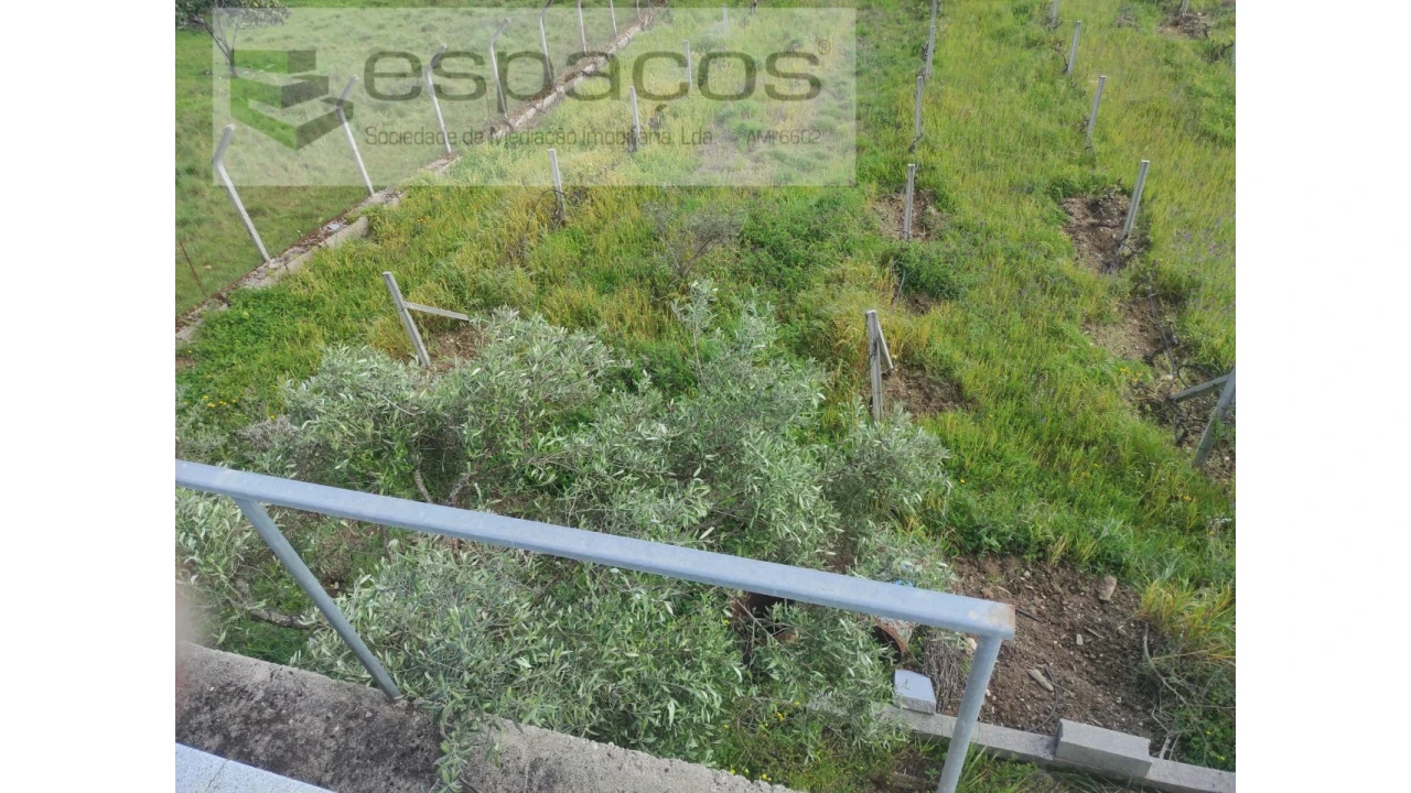 Quinta para Venda em Cebolais de Cima e Retaxo Foto 10