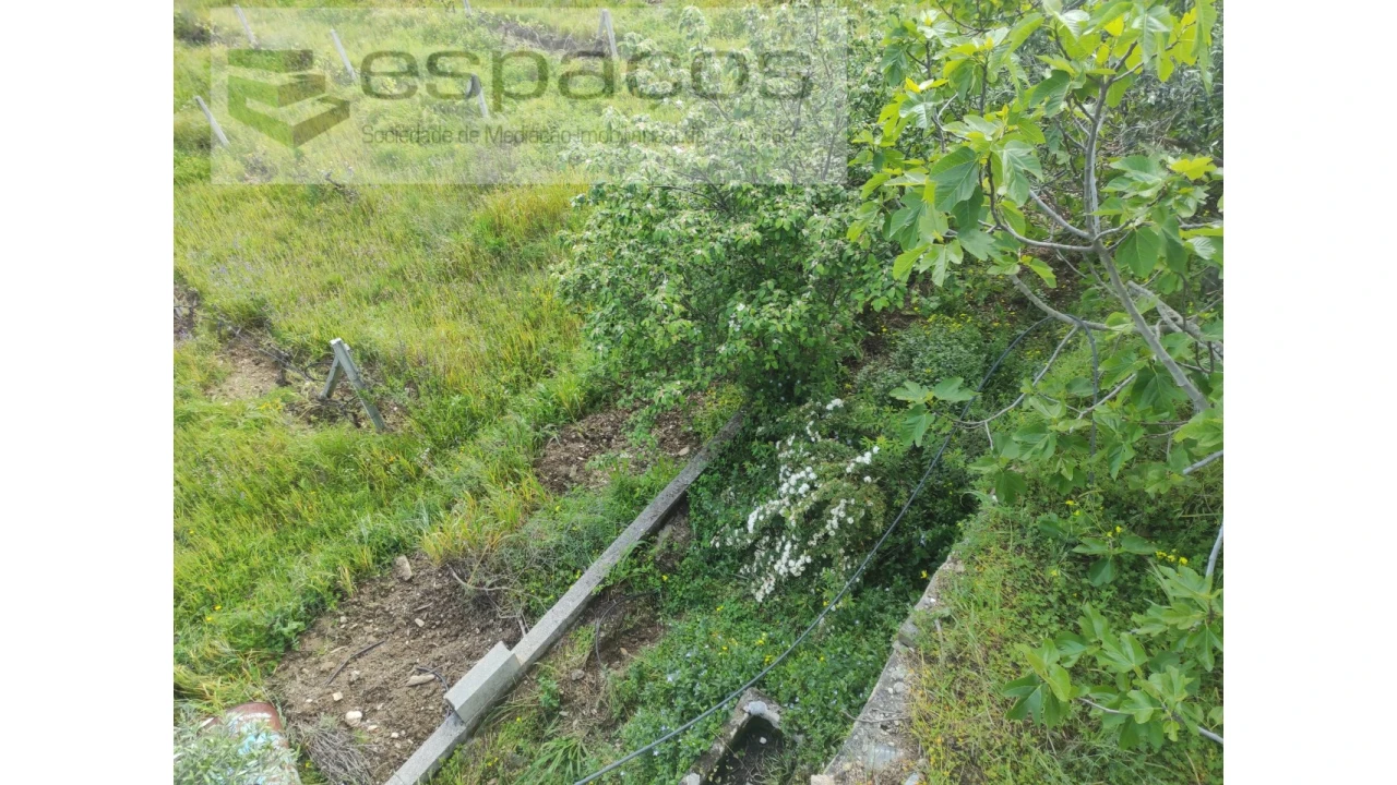Quinta para Venda em Cebolais de Cima e Retaxo Foto 12