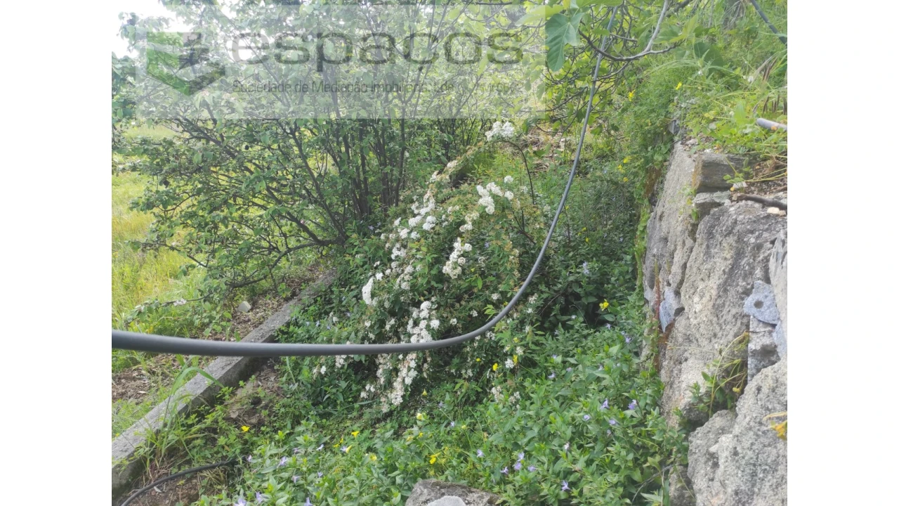 Quinta para Venda em Cebolais de Cima e Retaxo Foto 16