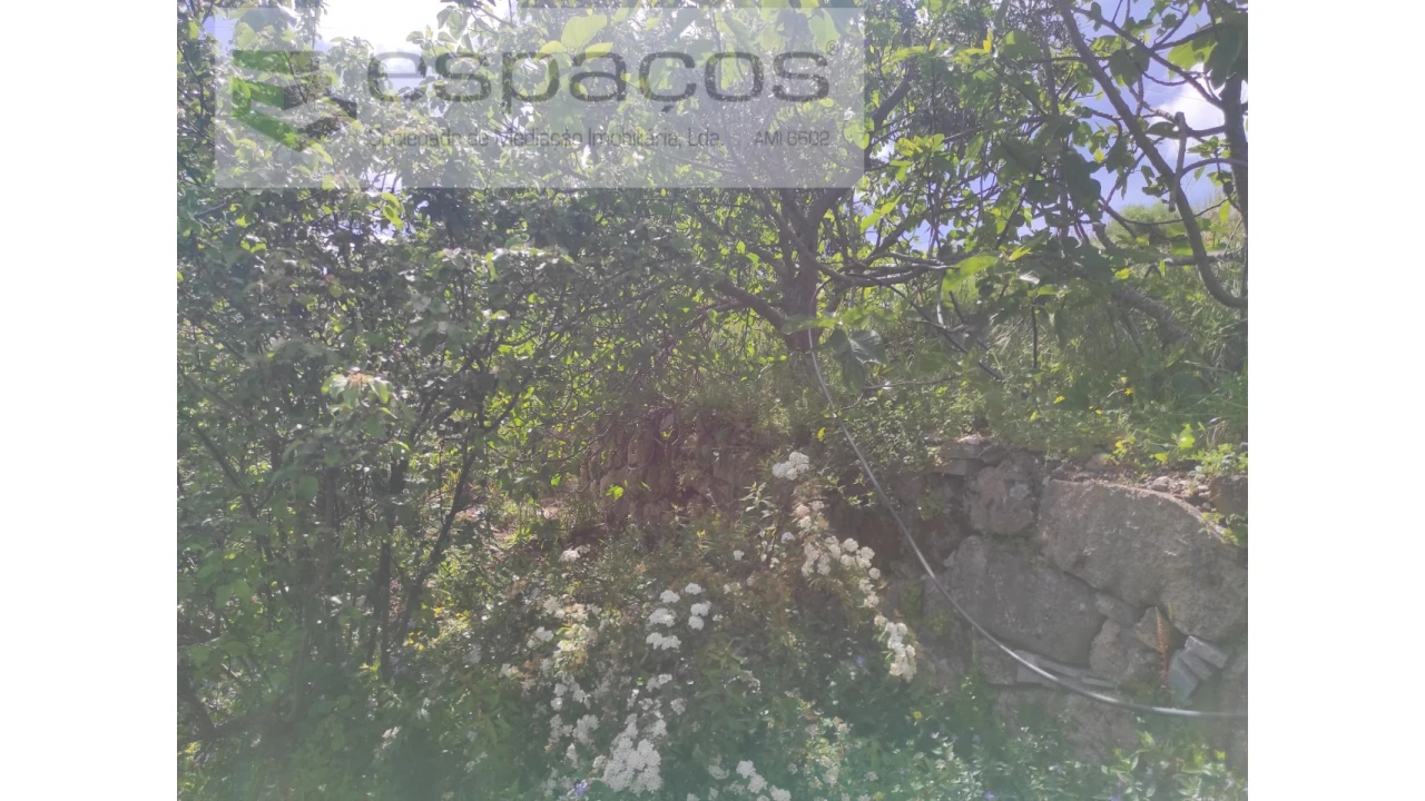 Quinta para Venda em Cebolais de Cima e Retaxo Foto 21