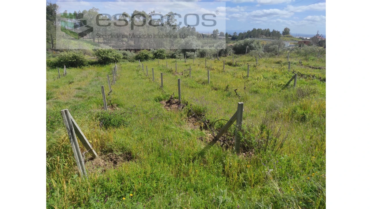 Quinta para Venda em Cebolais de Cima e Retaxo Foto 22