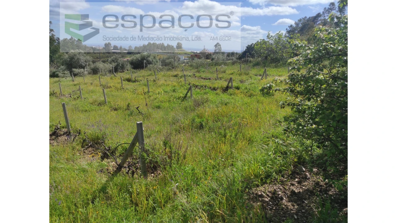 Quinta para Venda em Cebolais de Cima e Retaxo Foto 23